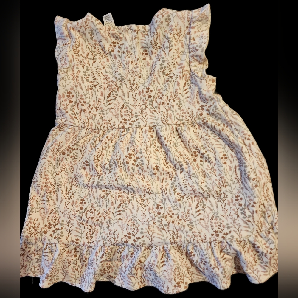 Colored Organic 18-24 Mo Fall Dress